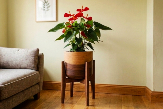 Gradient Wooden Planter